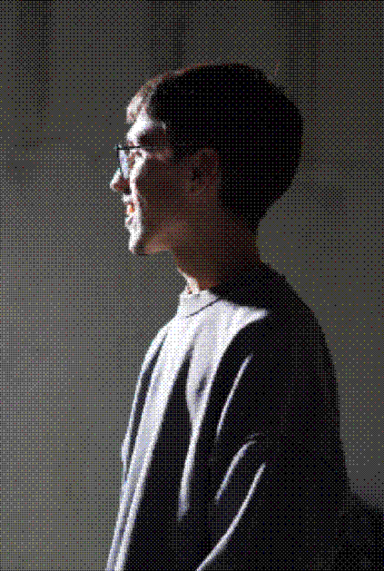 Luis Pereira